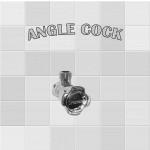 ANGLE COCK