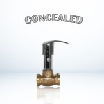 CONCEALED